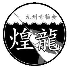 HARIJAN7777's profile picture. 九州青物会 煌龍【ｷﾘｭｳ】 の構成員。 九州北部（長崎・呼子・唐津・玄海灘周辺離島など）を徘徊し、ｼｮｱｷｬｽﾃｨﾝｸﾞ（ﾌﾟﾗｯｷﾝｸﾞ＆ｼﾞｷﾞﾝｸﾞ）でﾋﾗﾏｻなど青物追いかけてます。ﾍｯﾎﾟｺﾌﾞﾛｸﾞ要check！気軽に遊び来てね！♂♀問わず来訪OK！　※男女群島へ行かれる際は日乃出丸で☆