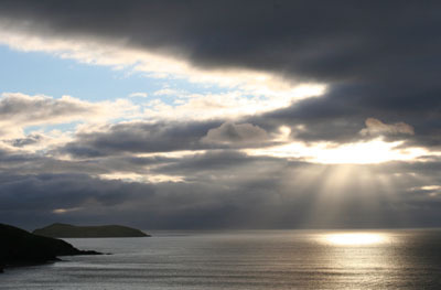 Traz40's profile picture. 