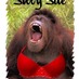 Sue Donym (@sillysueuk) Twitter profile photo Sue Donym (@sillysueuk) Twitter profile photo