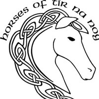 Horses of Tir Na Nog(@HorsesTirNaNog) 's Twitter Profileg