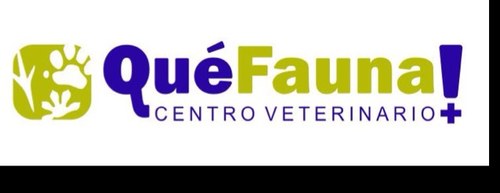 Perfil Centro Veterinario Que Fauna ! 
En Santa Cruz de Tenerife
Nos preocupamos por conservar la salud de tu mascota