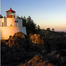 teresaetc's profile picture. 