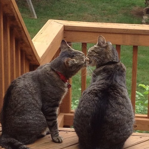 AndreaSHolz's profile picture. 