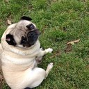 Matt Collett - @mjcol4 - Twitter