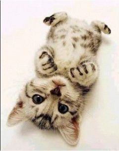 15_noah's profile picture. 