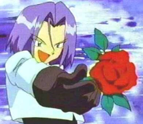 I'm James, the handsom member of Team Rocket. The King of Crime. (RP account)