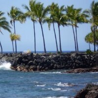 Bogeynever (@hypocrisynoted) 's Twitter Profile Photo