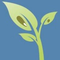 Thrive/Survive (@thrivesurvive) 's Twitter Profile