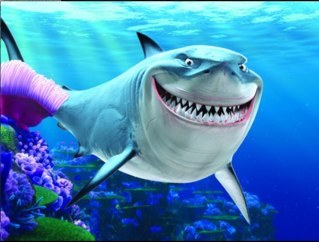 Fish are friends not food!
