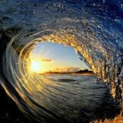 waveforce888's profile picture. LoVe to be a good trader. Swing trader. My principle is easy, Just buy low, never chase high!!