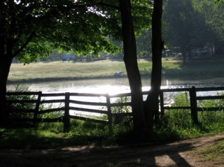 Raygolf's profile picture. 