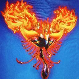 Phoenix_Ulti's profile picture. Phoenix Women's Ultimate Club is dedicated to the growth and development of high level women's ultimate. Our vision is 'Today's talent, tomorrow's champions'.