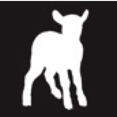 Raised on the banks of the Barwon River in South West Victoria, Barwon Lamb offers premium lamb products direct from the farm gate.