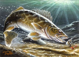 Helping people find and catch more fish.