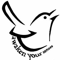 AwakenYS's profile picture. Awaken Your Senses make natural pure wax candles and reed diffusers!