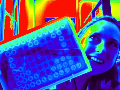 Indoor air microbiome scientist onto human health exposure and immunology quests. Curious explorer. Fun loving researcher.