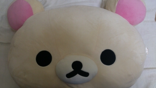 まむ*しんきた*やまだい*いぶんか*がくだん*