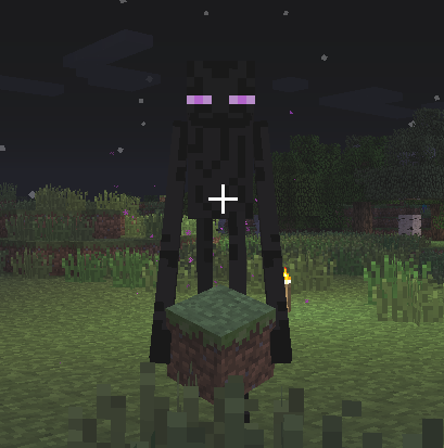 I get scared when I see Steve. I hate the water. I am the offcial Enderman from minecraft!