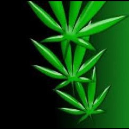 fulfiling all your pro cannabis propoganda needs
