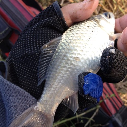 system8zyy's profile picture. China