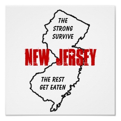 The Official Twitter for the state of New Jersey. FollowNJ is the CAMPAIGN!!! #NJLove