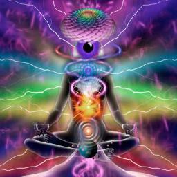 I curate immersive experiences by interweaving wisdom, art, & TransTech for heightened spiritual awareness and abundant physical, mental, & emotional wellbeing.