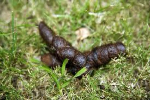 Sharted_On_Dem's profile picture. 