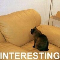 Matveev Alexander (@xirdman) 's Twitter Profile