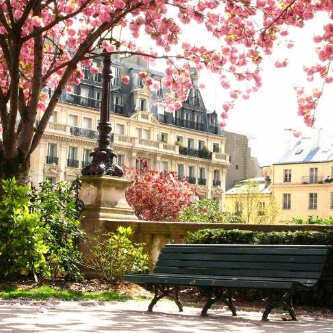 Rinayulianise's profile picture. 