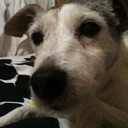 Sidney Turner - @dorobats - Twitter