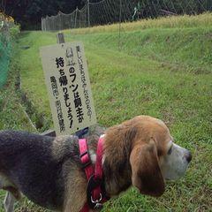 akio_mori's profile picture. 編集中