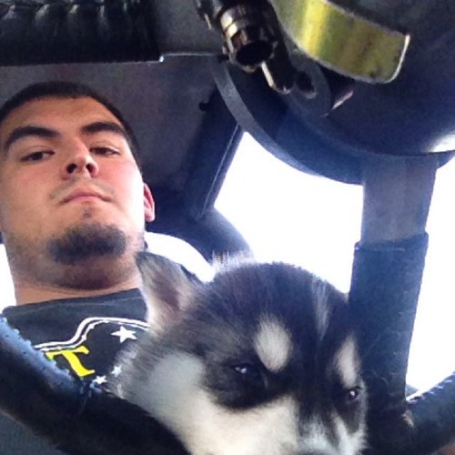 DirtyGOGOs's profile picture. Managing the most Beautiful GOGOs in Hollywood