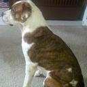 David Kendrick - @Davidkendrick73 - Twitter