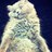 3zooz's Twitter (X) avatar