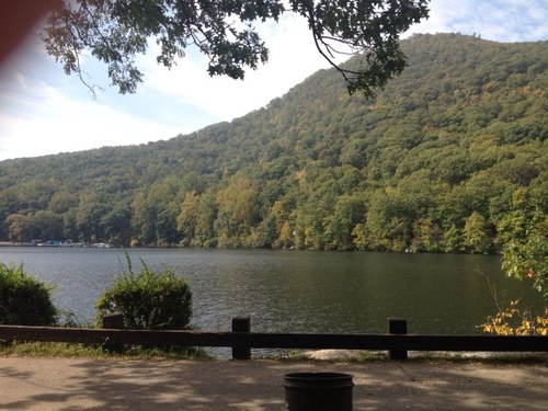 besty1000tb's profile picture. 