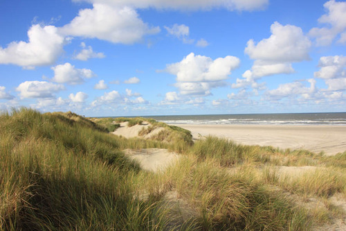 Waddenreisburo Gunda, verhuur van accommodaties op Ameland. laat de administratie aan waddenreisburo Gunda over