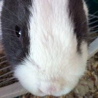 zach  (@zachm2001) 's Twitter Profile