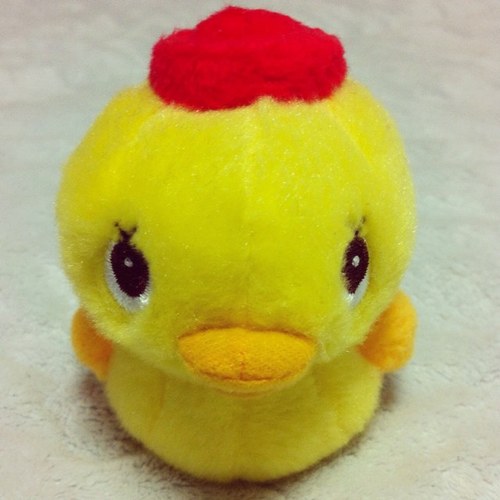 neoaquarian's profile picture. 楽器演奏、DTM、料理、散歩が好きなエンジニア。よろしくお願いします。  https://t.co/ZuV9tzdX8q