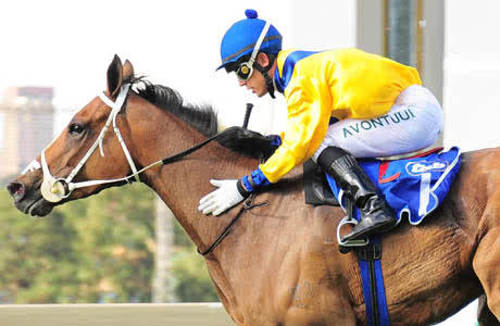 ALL ABOUT PROFIT - daily tips and exotics selections