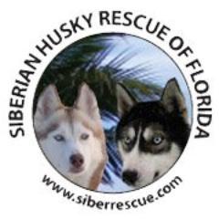 Husky Rescue Fl Profile