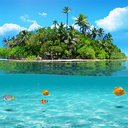 Verna arnold - @tammiricci - Twitter