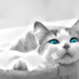 千(sen) (@hututi07) Twitter profile photo 千(sen) (@hututi07) Twitter profile photo