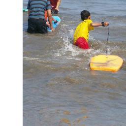 naufalfallah's profile picture. 