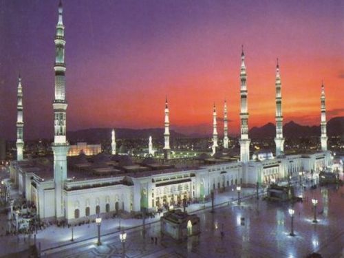 أستاذ التاريخ الحديث والمعاصر بجامعة طيبة