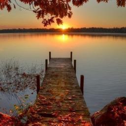 fall_happy's profile picture. 