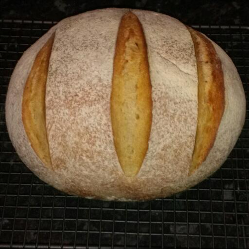 elpedroclemente's profile picture. Mostly cooking