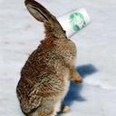 Jane M - @JaneMesser1 - Twitter