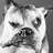 dambo_dr's profile image