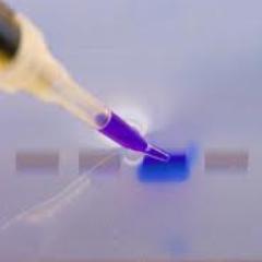 embiotec's profile picture. 