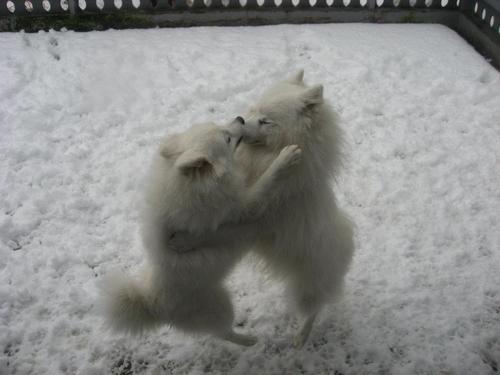 CasparErstad's profile picture. 